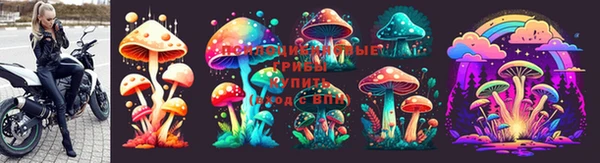 индика Абинск