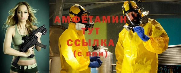 индика Абинск